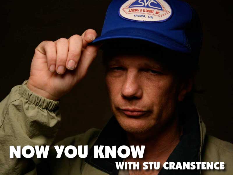 Now You Know An authority on Mountain Lions