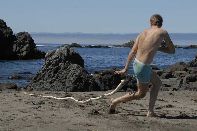 Kelp Attack Kelp Attack