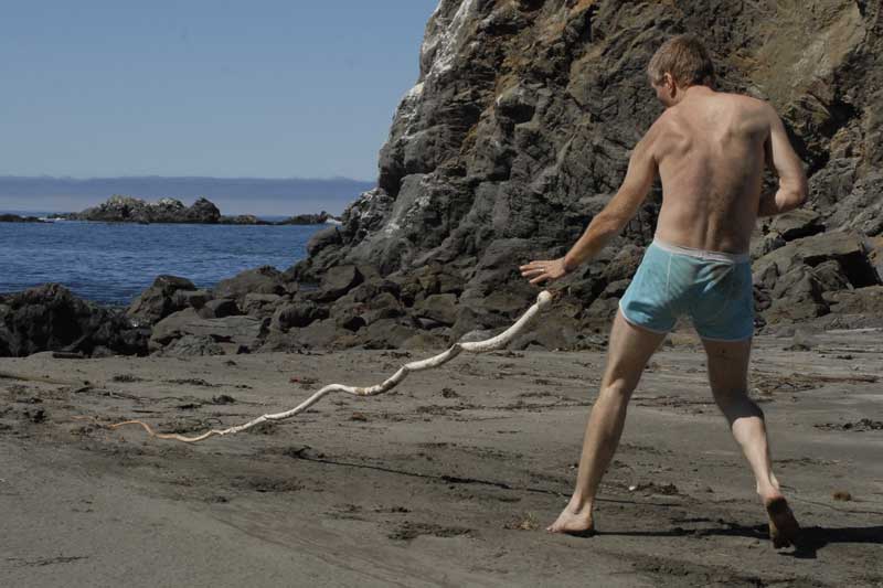 Kelp Attack Kelp Attack